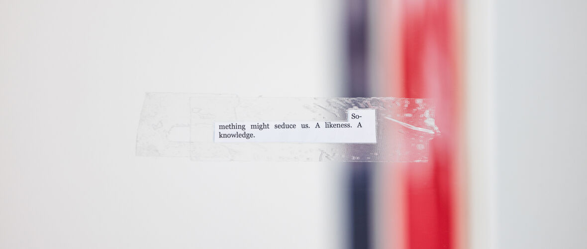 Chantal-Kaufmann_The Bigger Picture_2024_Foto-Kunstverein-Gartenhaus-Wien Chantal-Kaufmann_The Bigger Picture_2024_Foto-Kunstverein-Gartenhaus-Wien