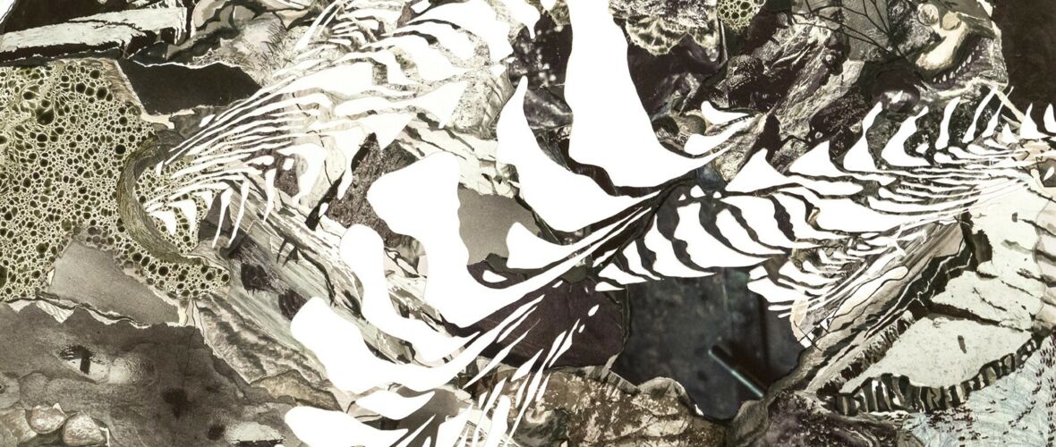 (c) Judith Saupper (c) Judith Saupper