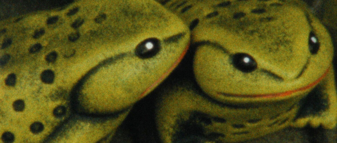 BALADA_DE_UM_BATRÁQUIO_06