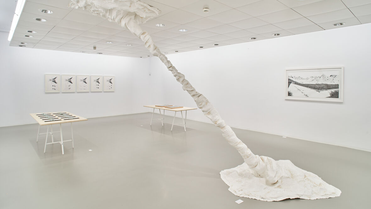 (c) Galerie Hollenstein - Kunstraum und Sammlung, Foto: Miro Kuzmanovic