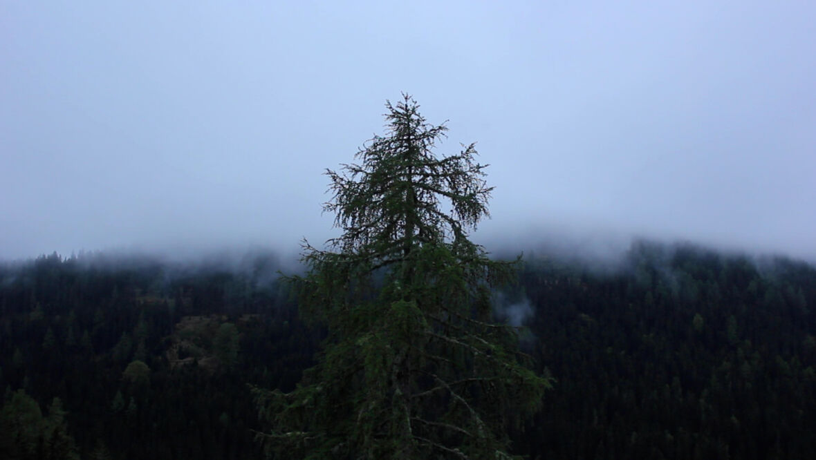 ©Pia Wilma Wurzer_Standbild002
