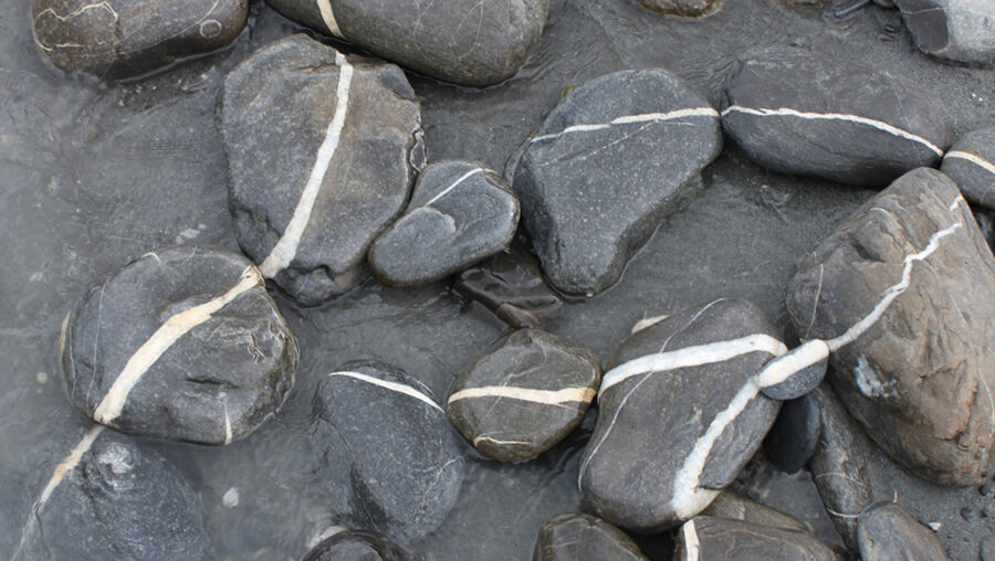 Rheinufer Bad Ragaz (CH), 2012. Copyright: Matthias Würfel