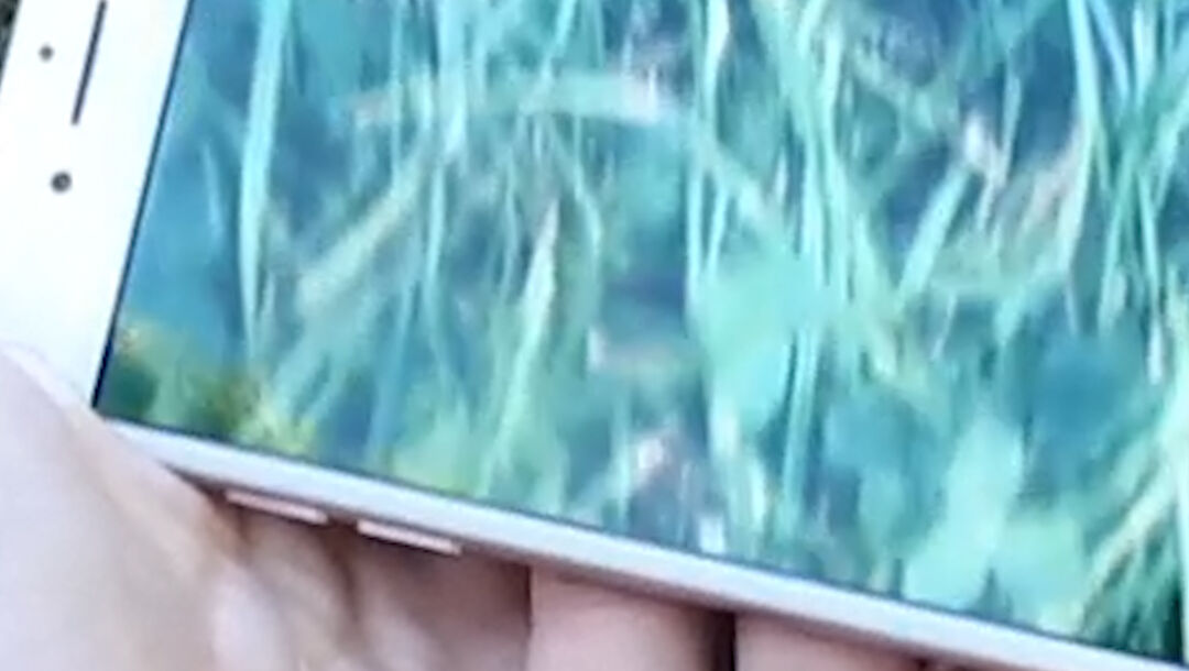 soudpossibilitiesframe