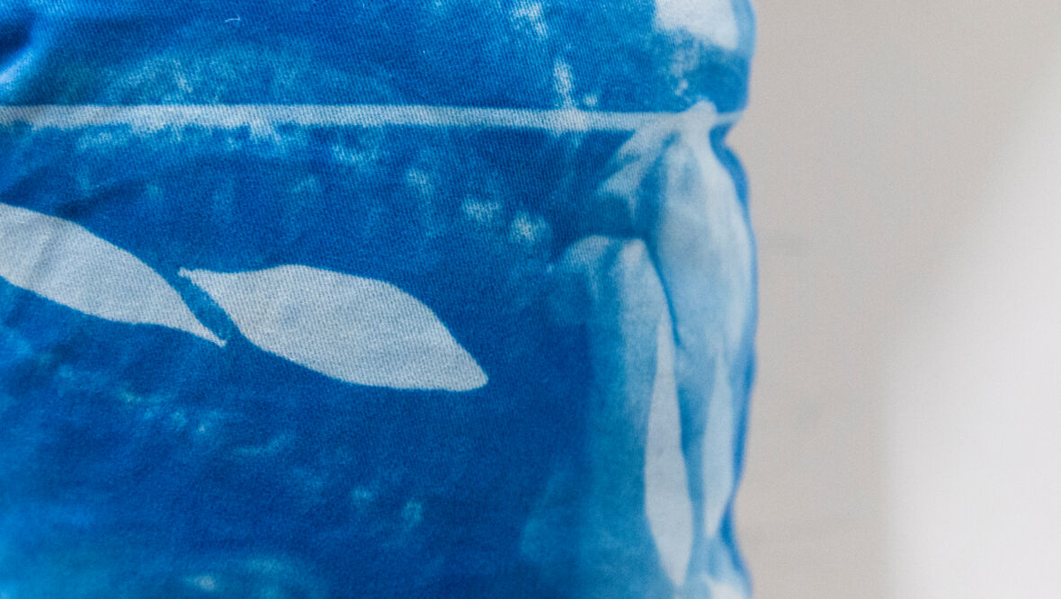 details_diplom(c)abionaestherojo