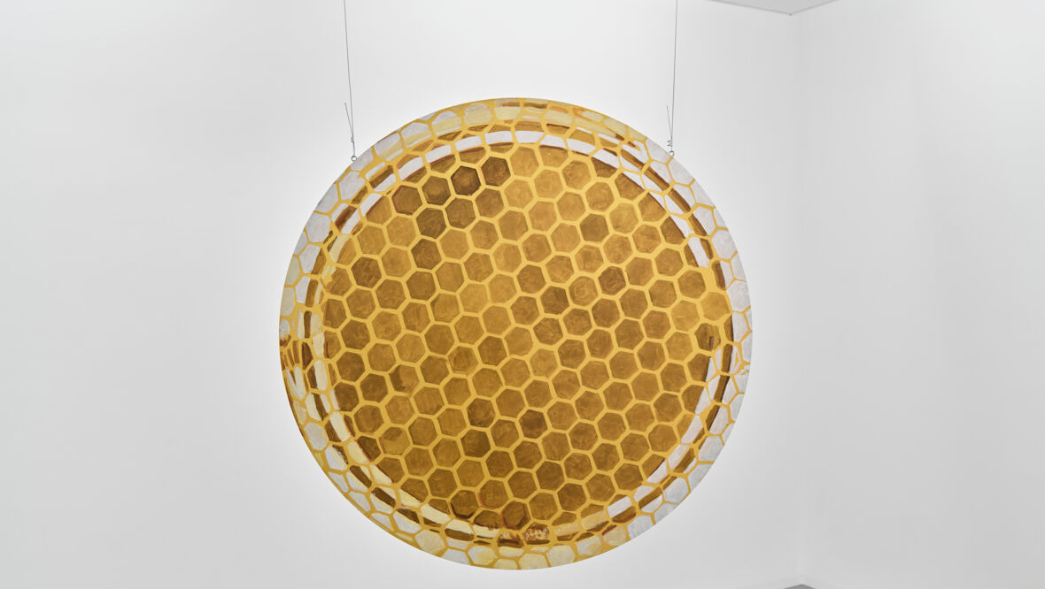 20230629_MIK_75005HiRes