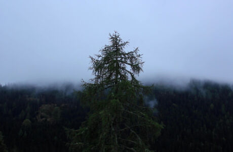 ©Pia Wilma Wurzer_Standbild002