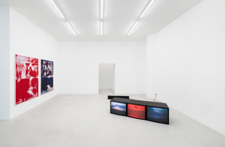 4.Chantal Kaufmann Real as compared to what_installation view