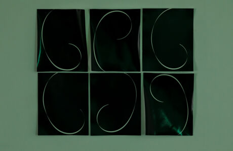 _U4A1008