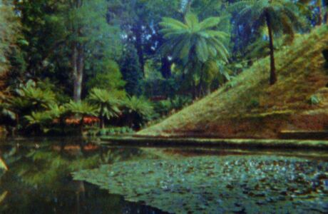 BALADA_DE_UM_BATRÁQUIO_01