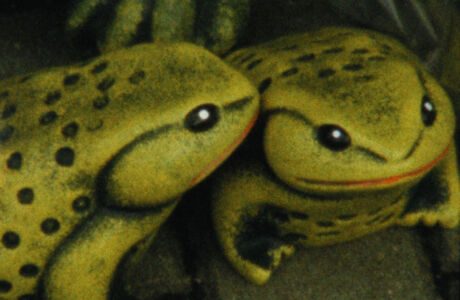 BALADA_DE_UM_BATRÁQUIO_06