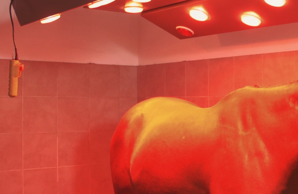 01-serenade_Clemens-Tschurtschenthaler-Still